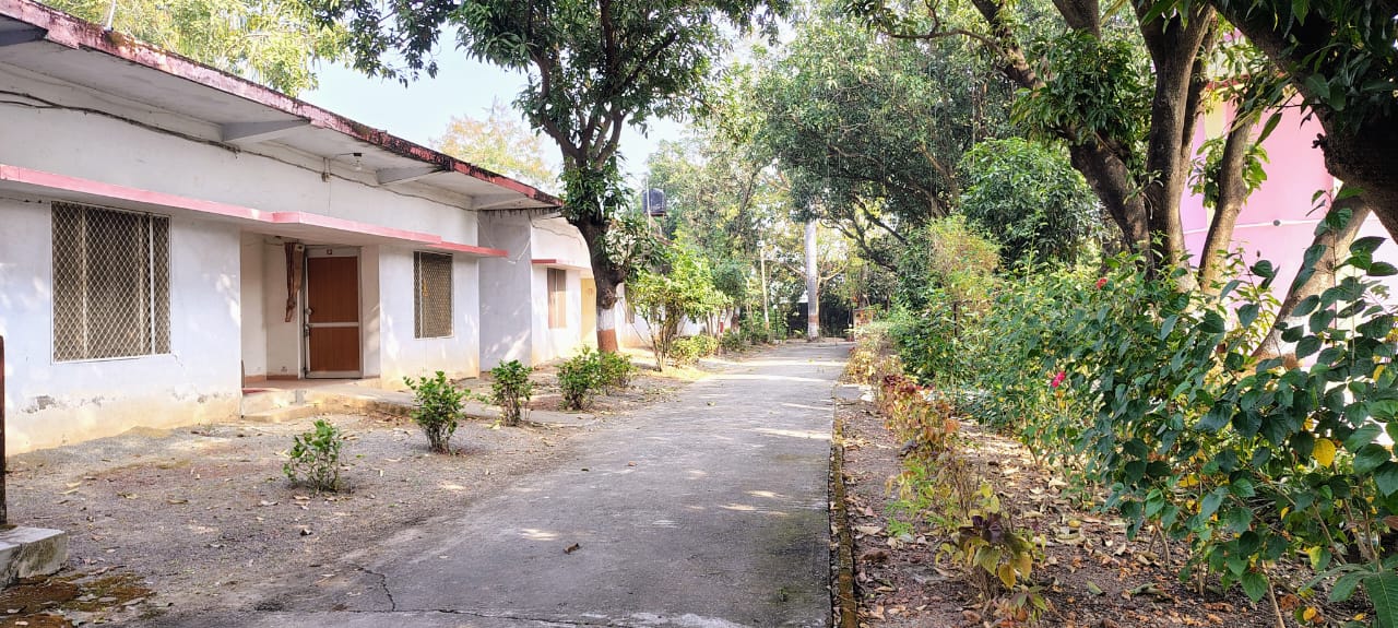 Kutiya Image (Outside View)